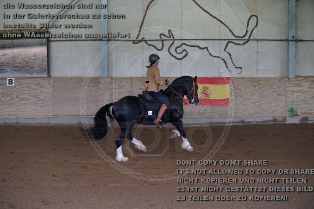 s_K3F03825.JPG